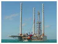 CHEMICAL AND PETROCHEMICAL INDUSTRY NITRILE